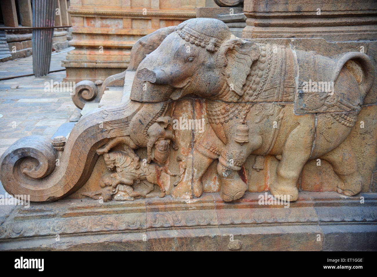 Statue del Tempio di Brihadeeswara ; sculture del Tempio di Brihadishvara ; Tanjore ; Thanjavur ; Tamil Nadu ; India ; Asia Foto Stock