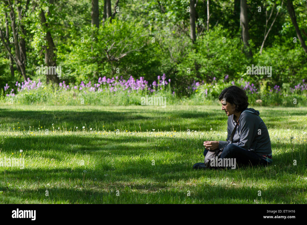 Donna seduta sotto agli alberi nel parco paesaggio, Stati Uniti. Foto Stock
