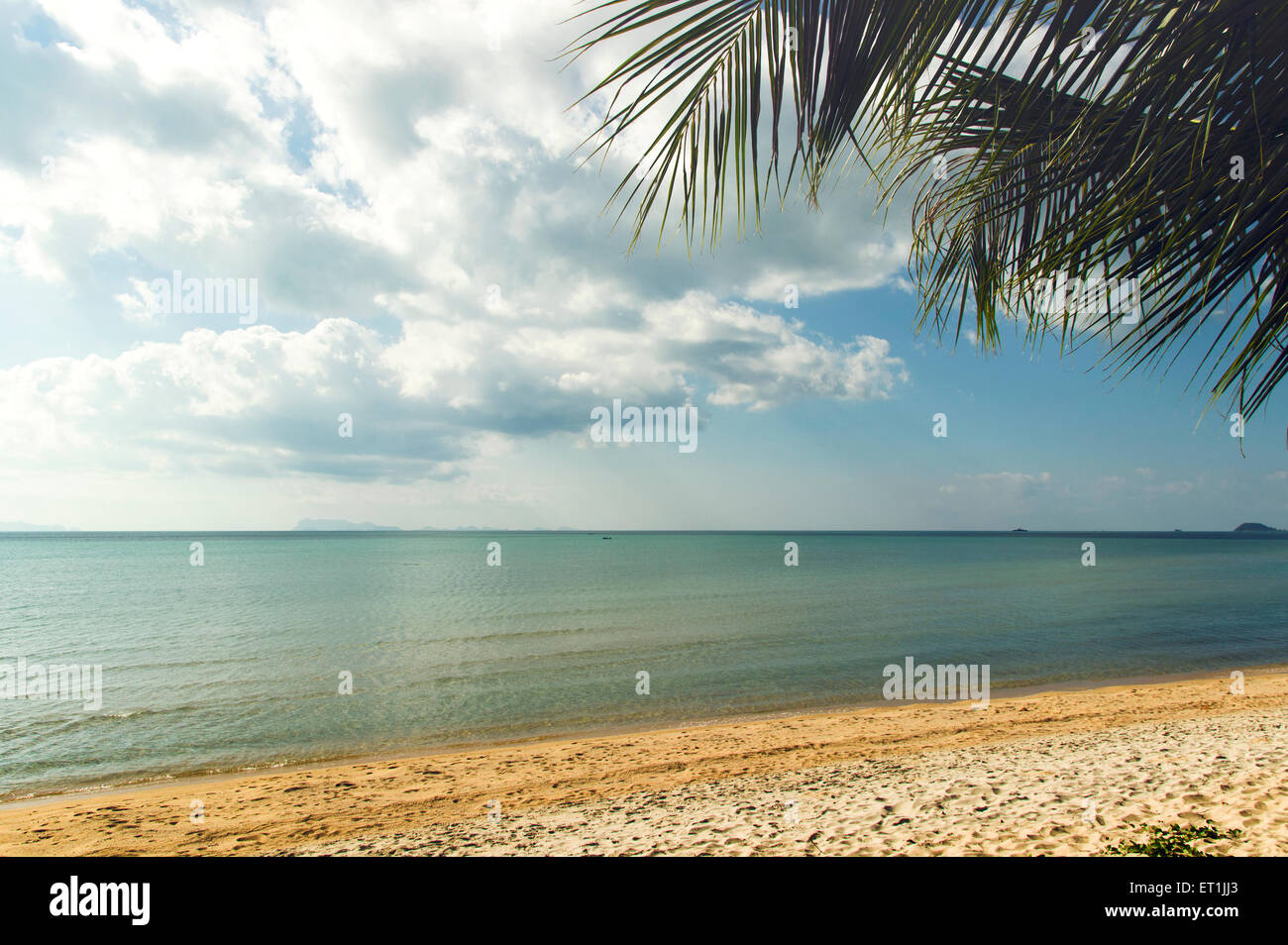 Vista di tropical, spiaggia tranquilla e Palm tree. vacanze estive in Thailandia Foto Stock