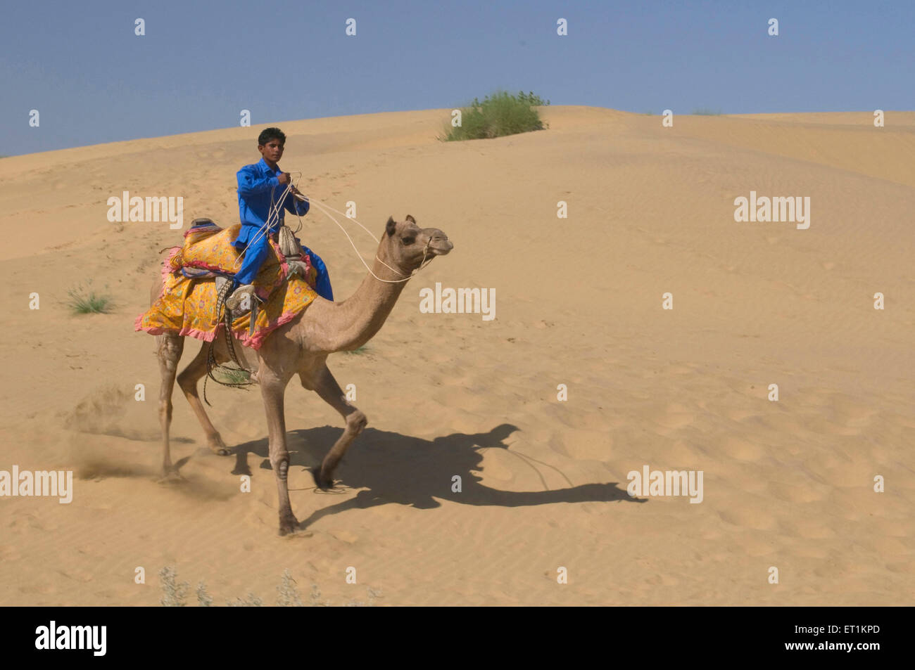 Uomo seduto sul cammello Sam Jaisalmer Rajasthan India Asia Foto Stock