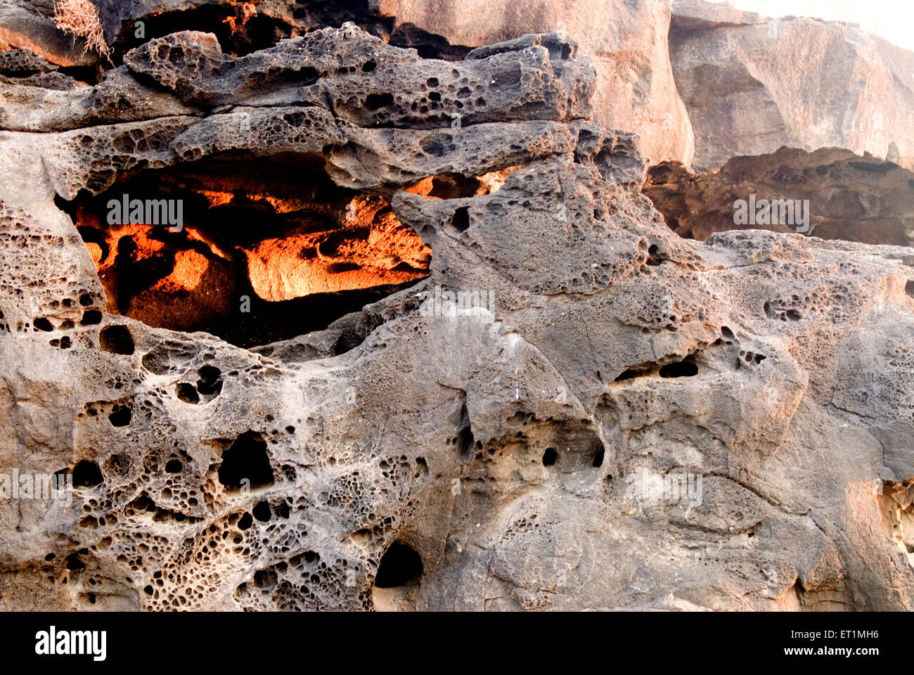 Alveare di roccia, erosione di roccia, erosione di mare, spiaggia di Harihareshwar, Raigad, Maharashtra, India Foto Stock