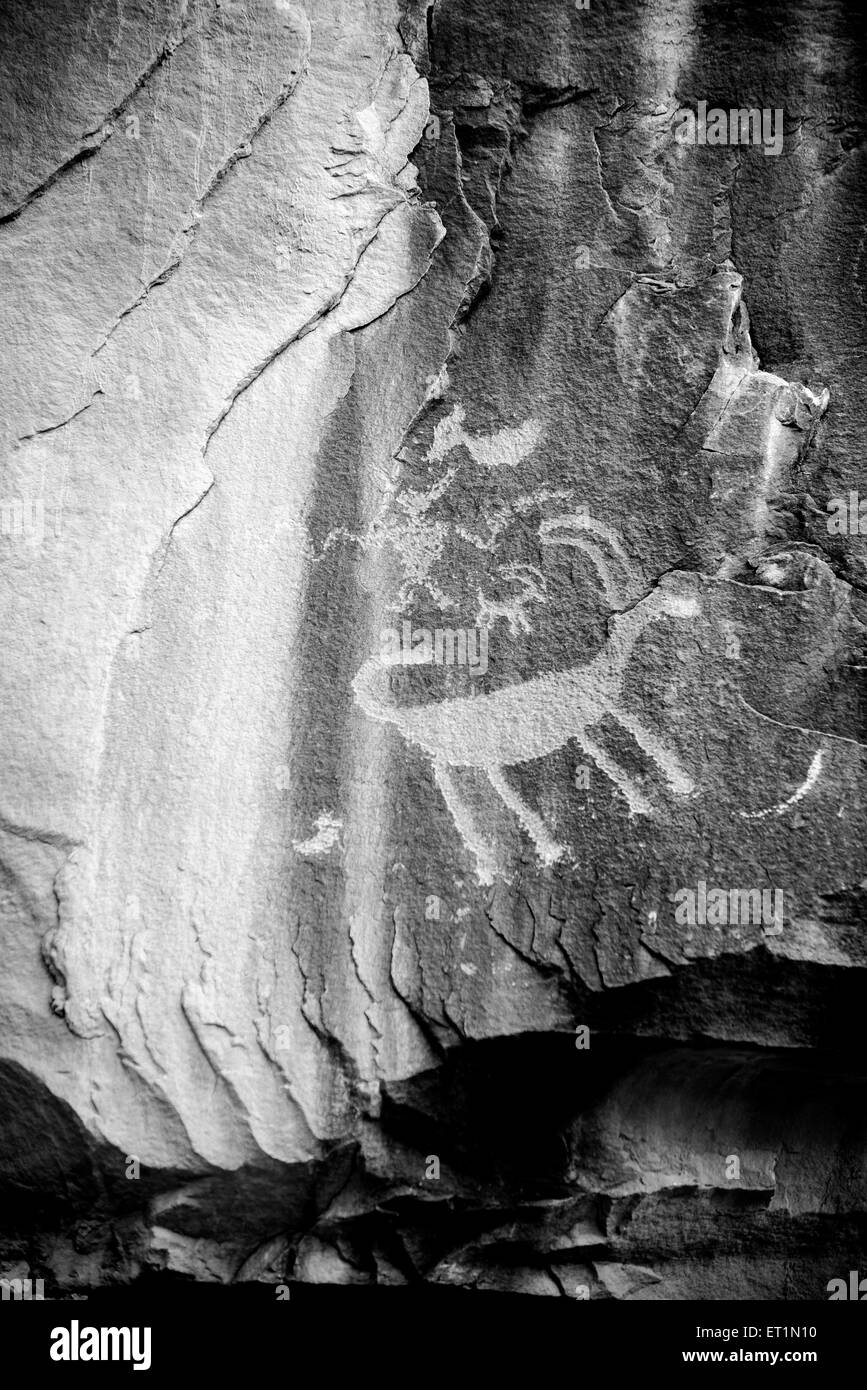 Incisioni rupestri - Nine Mile Canyon dello Utah Foto Stock