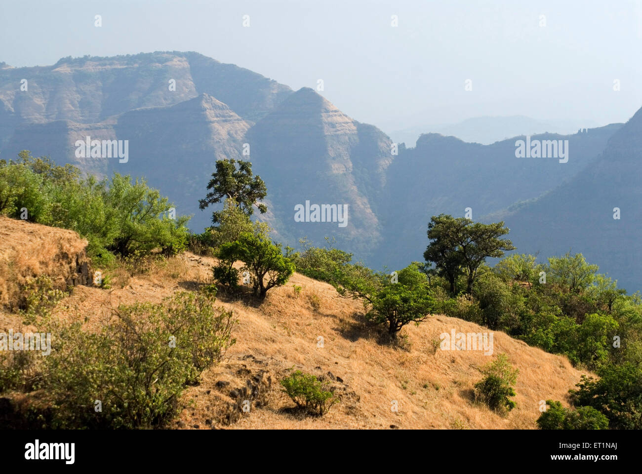 La gamma della montagna di Sahyadri da Raigad fort ; Maharashtra ; India Foto Stock