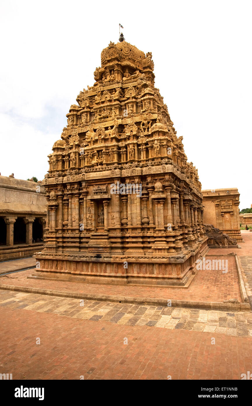 Lato posteriore della subramanya del tempio brihadeshwara ; Thanjavur ; Tamil Nadu ; India Foto Stock