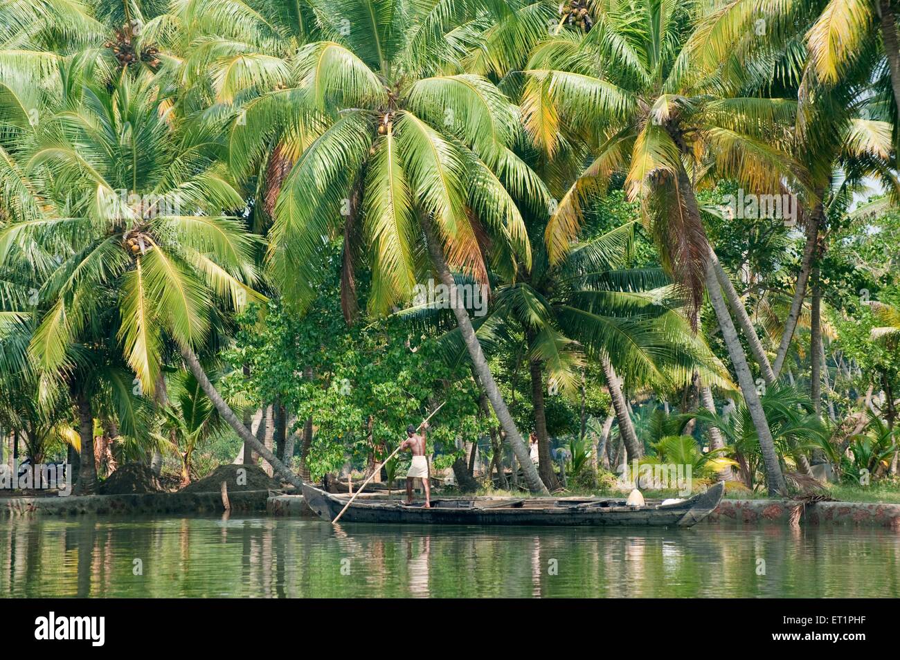 Alberi di palma nelle acque del mare ; Alappey ; Alappuzha ; Kerala ; India ; Asia Foto Stock