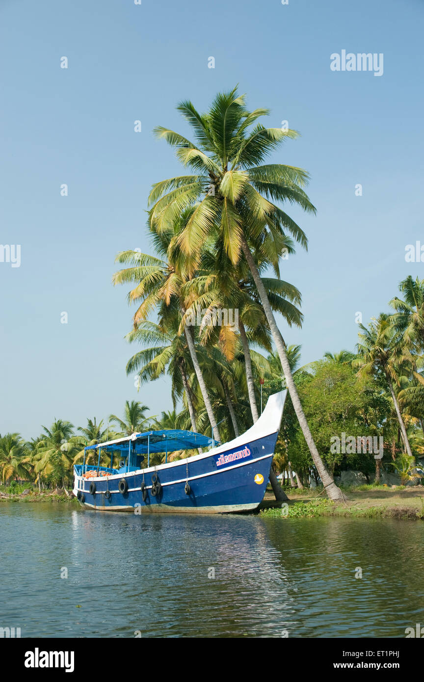 Alberi di palma nelle acque del mare ; Alappey ; Alappuzha ; Kerala ; India ; Asia Foto Stock