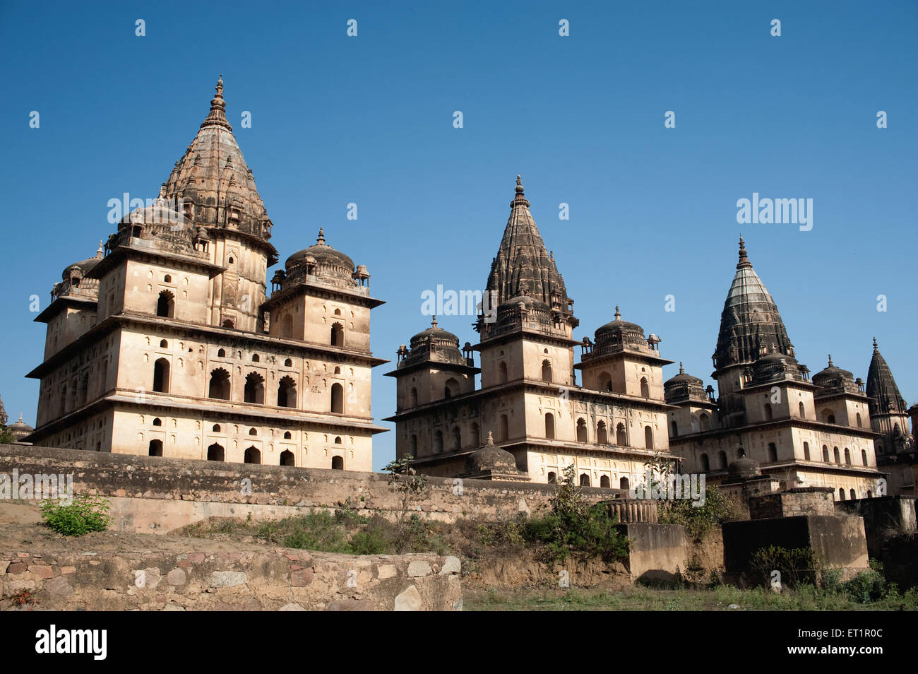 Cenotaphs dei governanti ; Orchha ; Tikamgarh ; Madhya Pradesh ; India Foto Stock