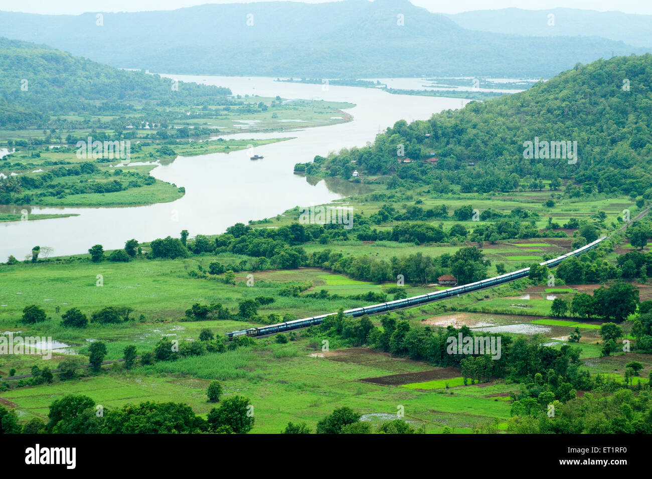 Konkan railway passando attraverso il risone campo e fiume vashishti Chiplun Ratnagiri Maharashtra India - Foto Stock