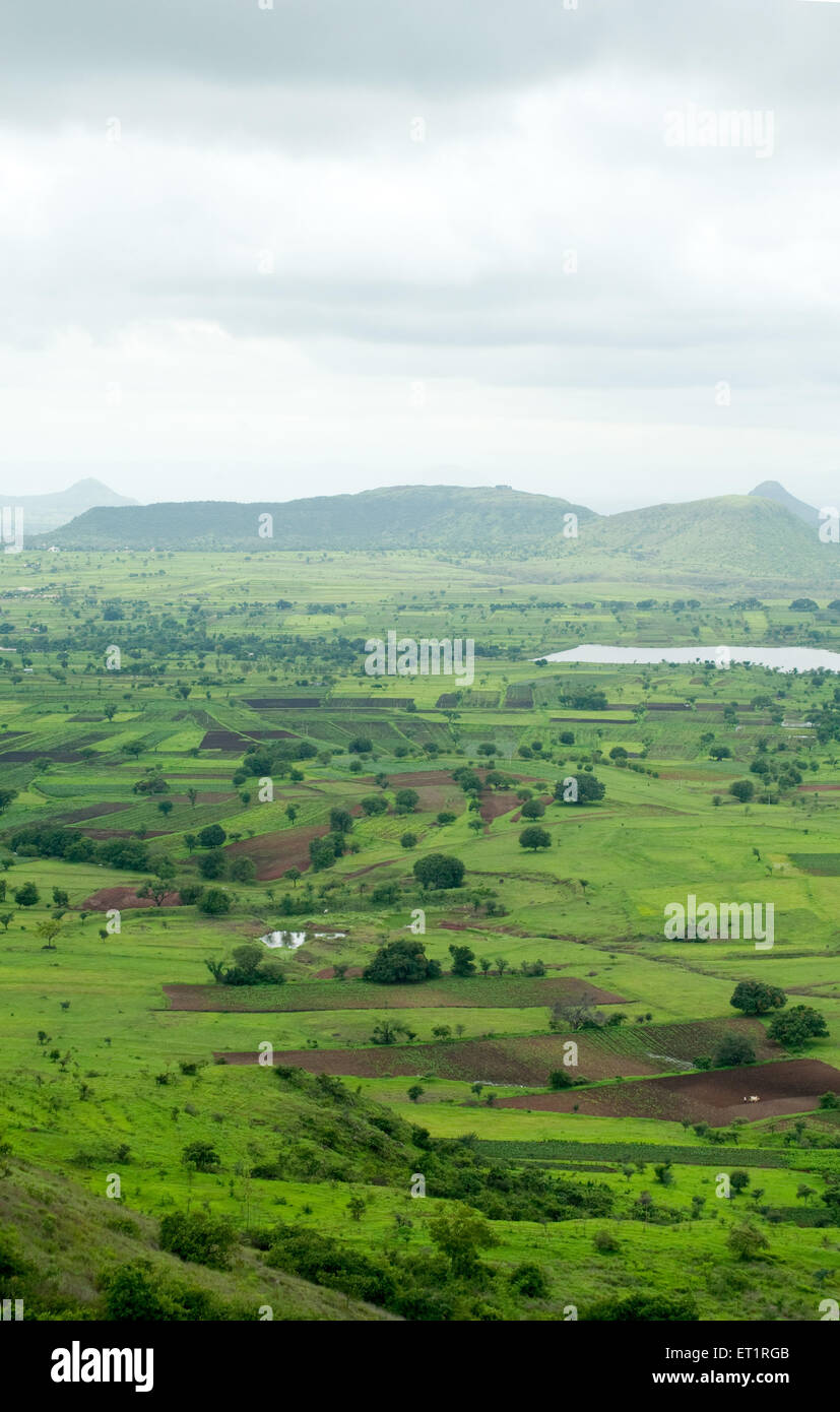 Campi verdi ; Aundh ; Satara ; Maharashtra ; India Foto Stock