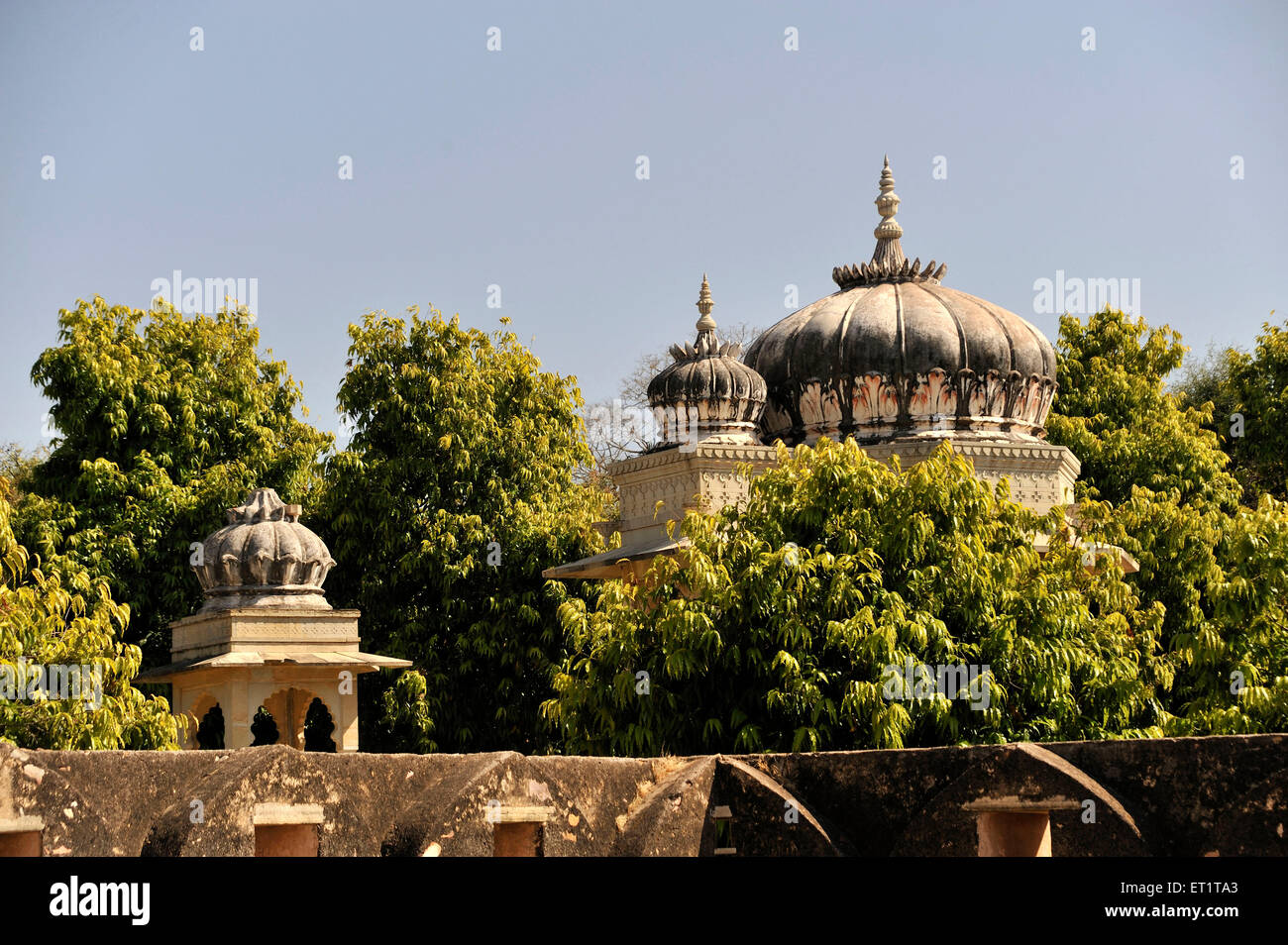 Vecchi templi a Chittorgarh rajasthan india asia Foto Stock