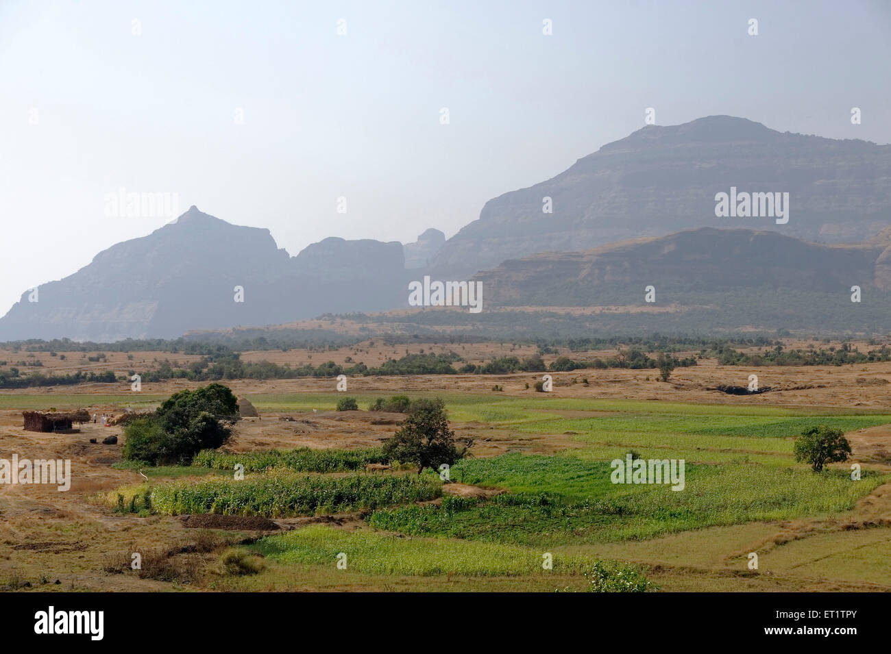 Western ghat paesaggio di Maharashtra india asia Foto Stock