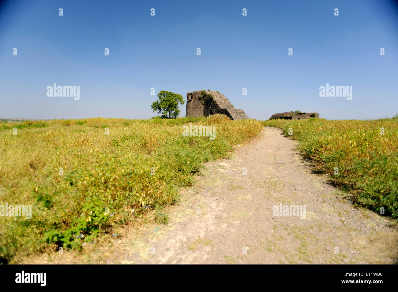 Tall bastione a Fort Naldurg Osmanabad Distretto Maharashtra India Foto Stock