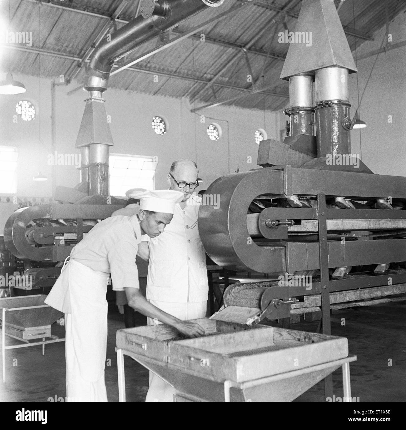 Anno 1955 ; le persone a lavorare in una fabbrica di zucchero ; elaborazione su sugarcanes ; Mandya ; distretto di Mandya ; Karnataka ; India Foto Stock