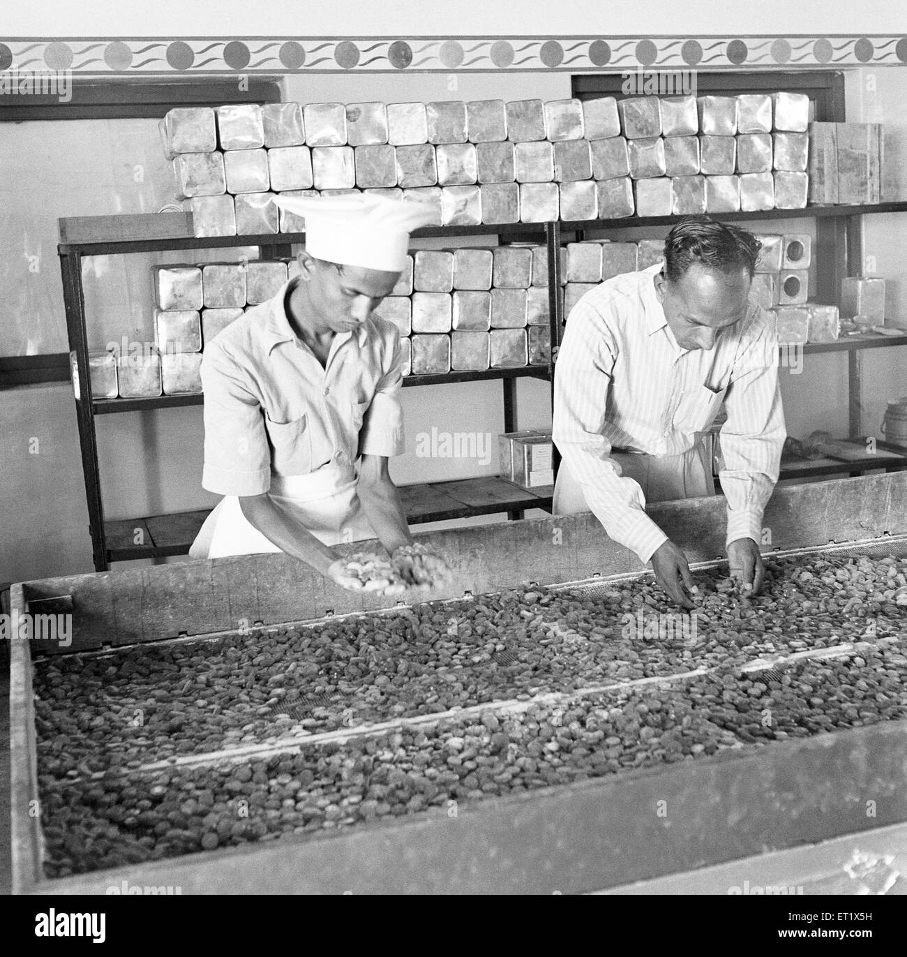Anno 1955 ; le persone a lavorare in una fabbrica di zucchero ; elaborazione su sugarcanes ; Mandya ; distretto di Mandya ; Karnataka ; India Foto Stock