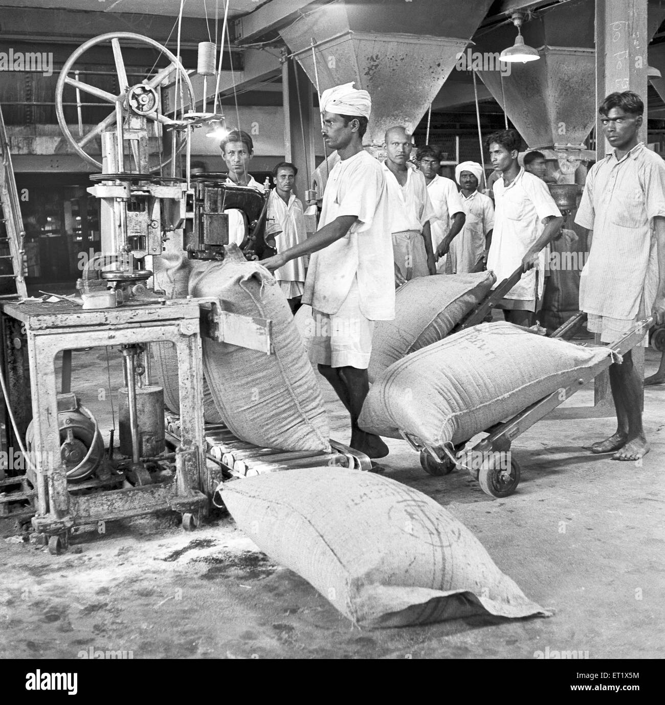 Anno 1955 ; le persone a lavorare in una fabbrica di zucchero ; imballaggio dei sacchi ; Mandya ; distretto di Mandya ; Karnataka ; India Foto Stock