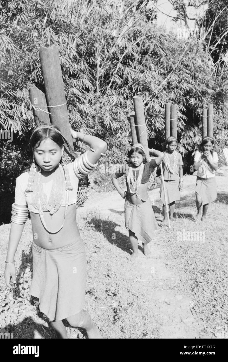 Wancho tribe girls fetching water in bamboo pipe ; Tirap District ; Arunachal Pradesh ; India ; Asia ; foto del 1900 d'epoca Foto Stock