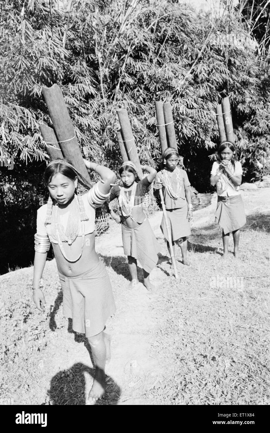 Wancho ragazza tribale fetching acqua potabile in tubo di bambù ; Arunachal Pradesh ; India ; Asia ; vecchio quadro vintage del 1900 Foto Stock