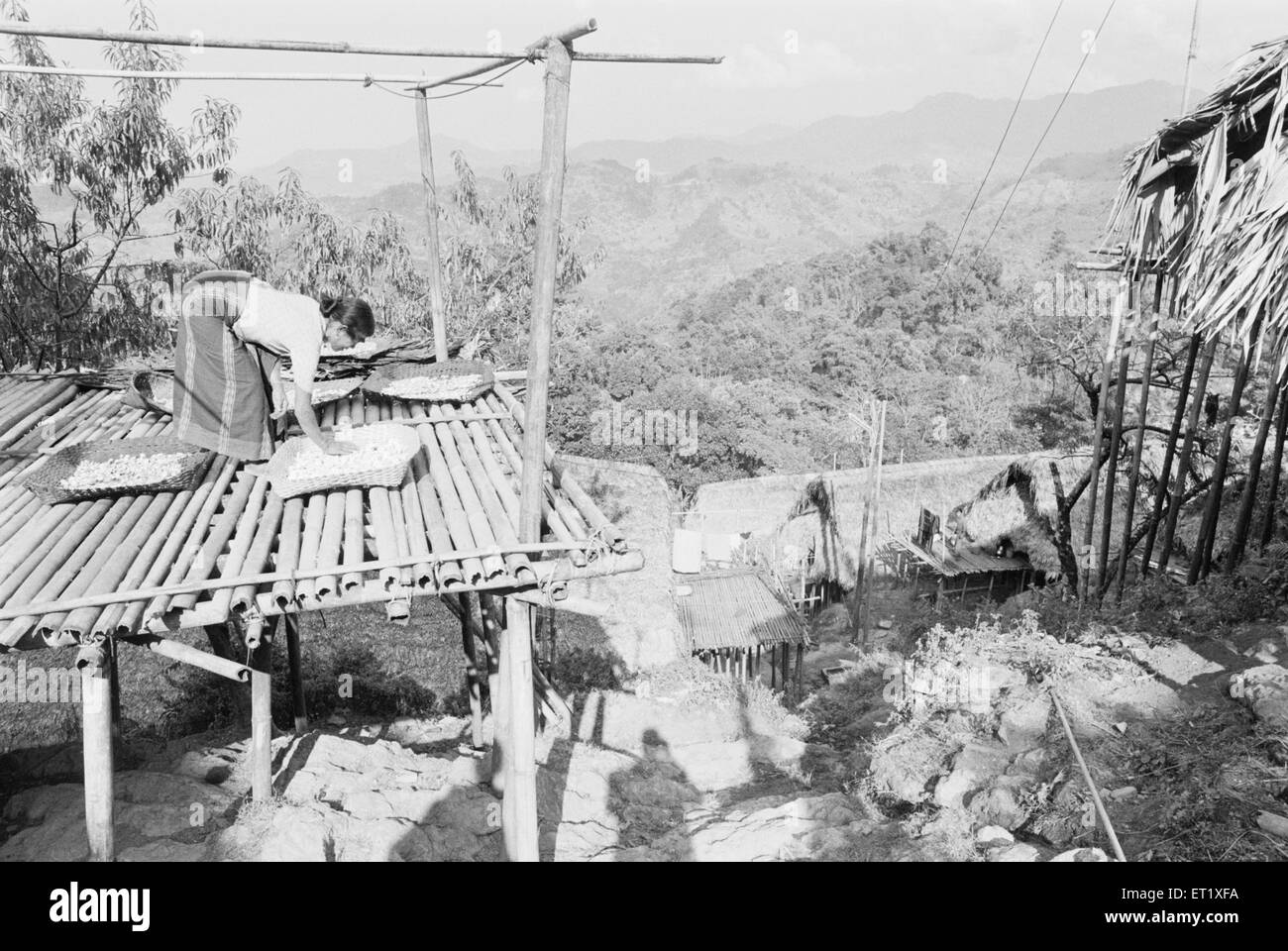 Essiccazione di ortaggi e cereali su piattaforme di bambù tribù Apa Tani ; vicino a Ziro ; Arunachal Pradesh ; India ; Asia ; foto del 1900 d'epoca Foto Stock