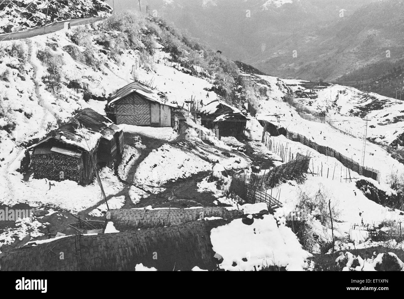 Inverno ; case di villaggio innevate ; Arunachal Pradesh ; India ; Asia ; immagine del 1900 d'epoca Foto Stock