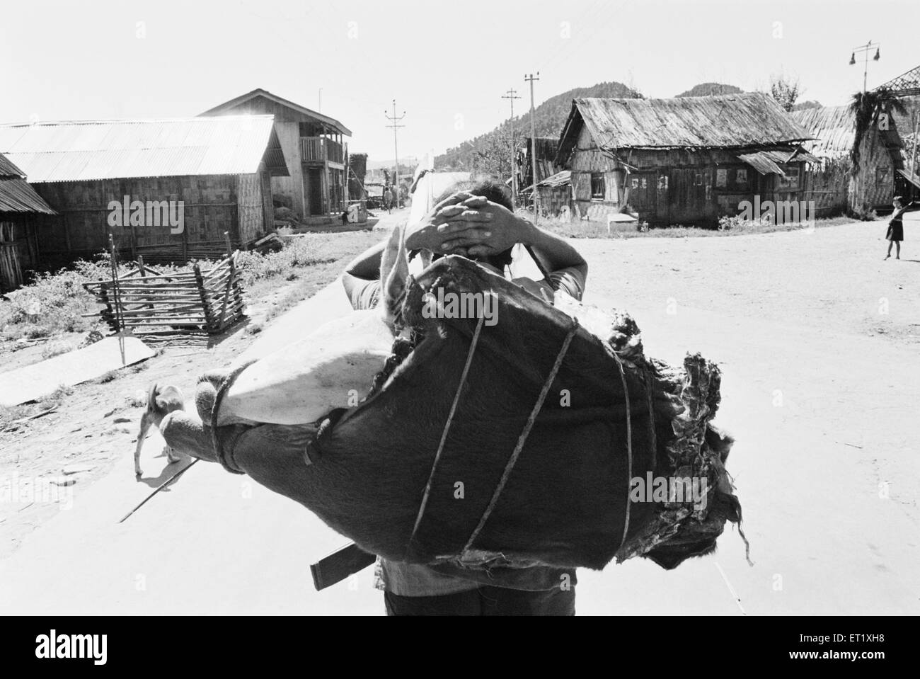 Uomo che trasporta carcassa animale ; Kameng ; Arunachal Pradesh ; India ; Asia ; foto del 1900 d'epoca Foto Stock