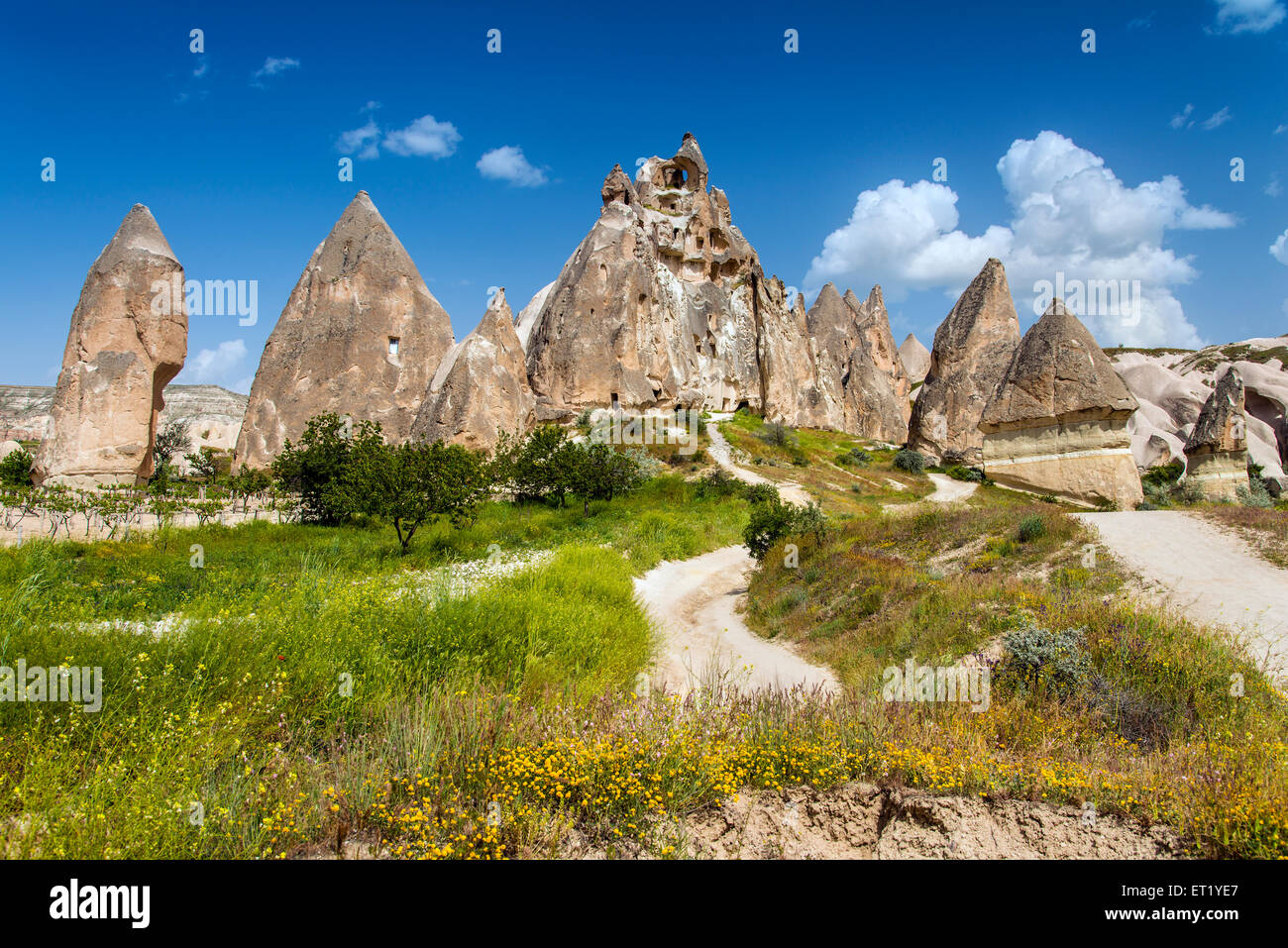 Paesaggio panoramico vista in primavera nei pressi di Goreme, Cappadocia, Turchia Foto Stock