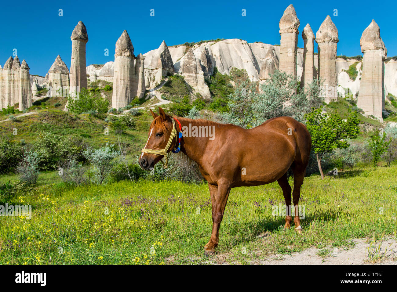 Scenic Camini di Fata paesaggio in primavera, Goreme, Cappadocia, Turchia Foto Stock