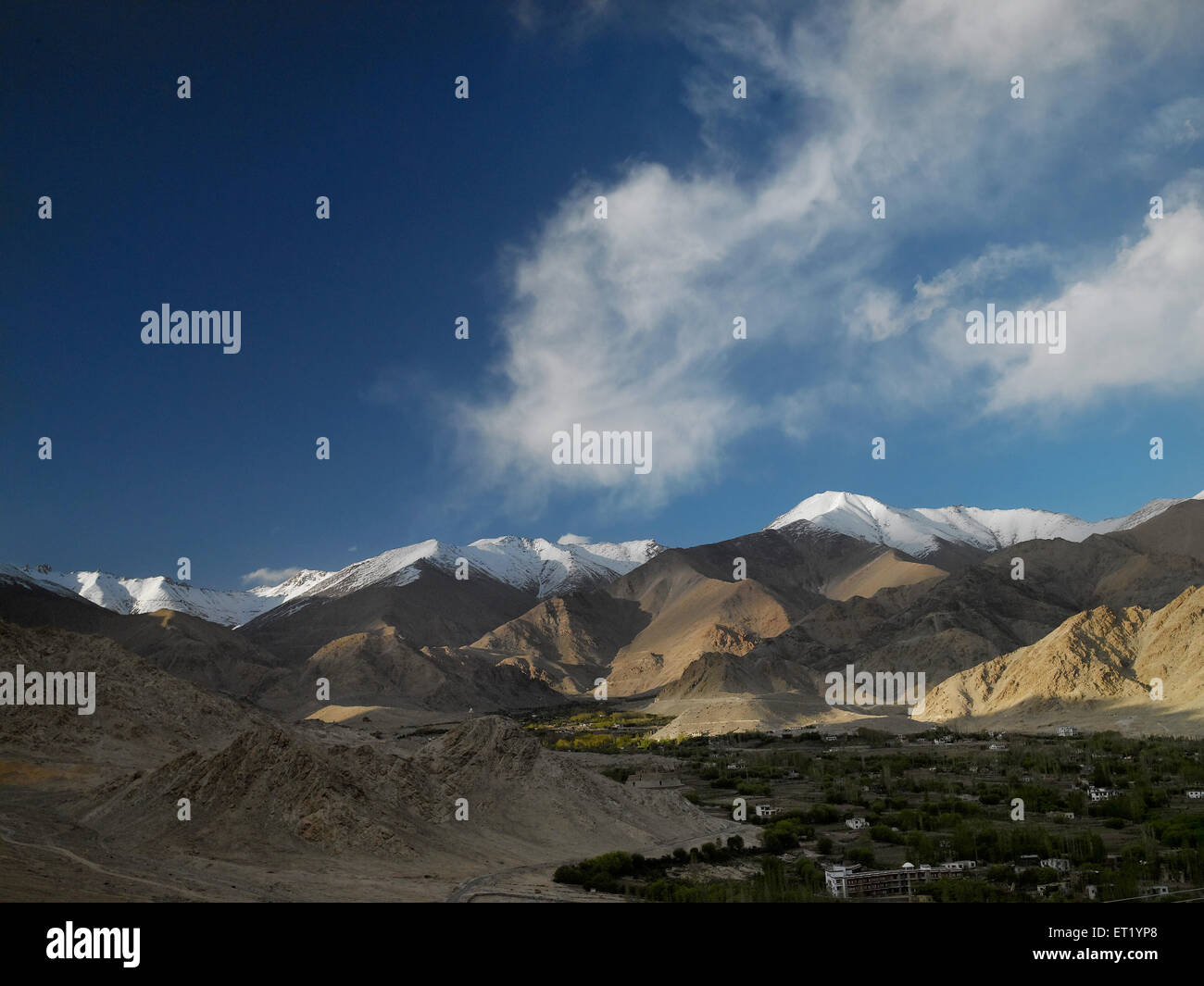 Leh Town ; Ladakh ; Jammu e Kashmir ; India ; Asia Foto Stock