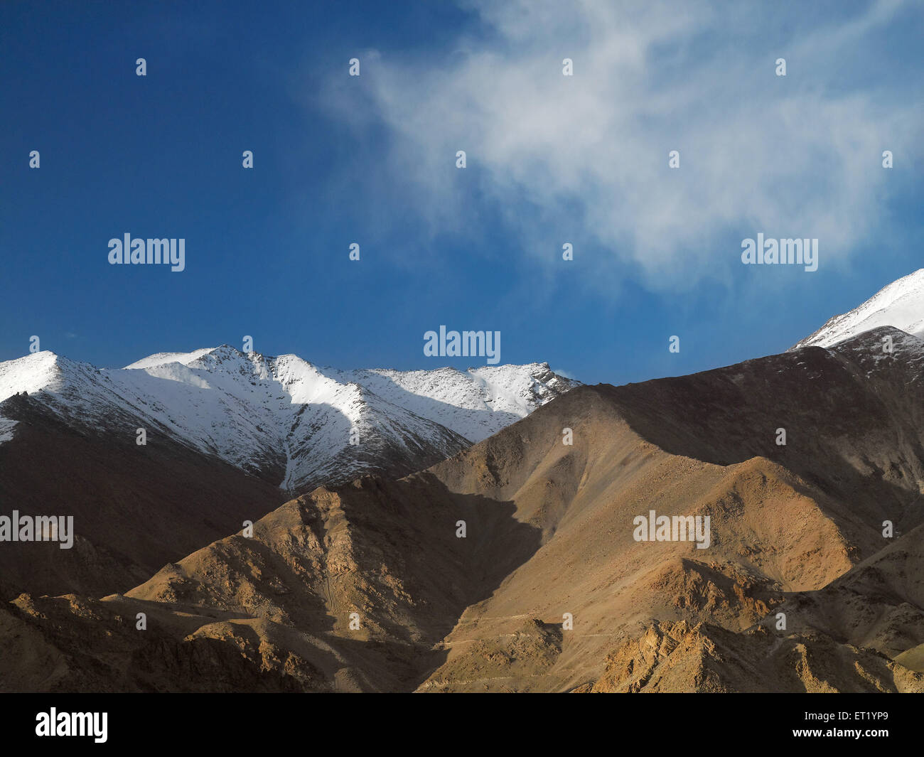 Neve Montagne ; Ladakh ; Jammu e Kashmir ; India ; Asia Foto Stock