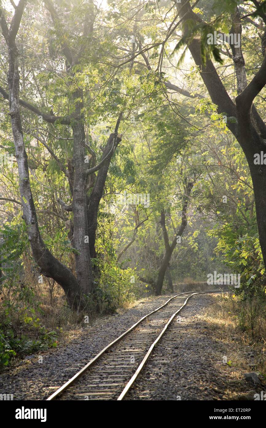 Percorso ferroviario ; Parco Nazionale Sanjay Gandhi ; Borivali ; Bombay ; Mumbai ; Maharashtra ; India ; Asia ; Asia ; indiano Foto Stock