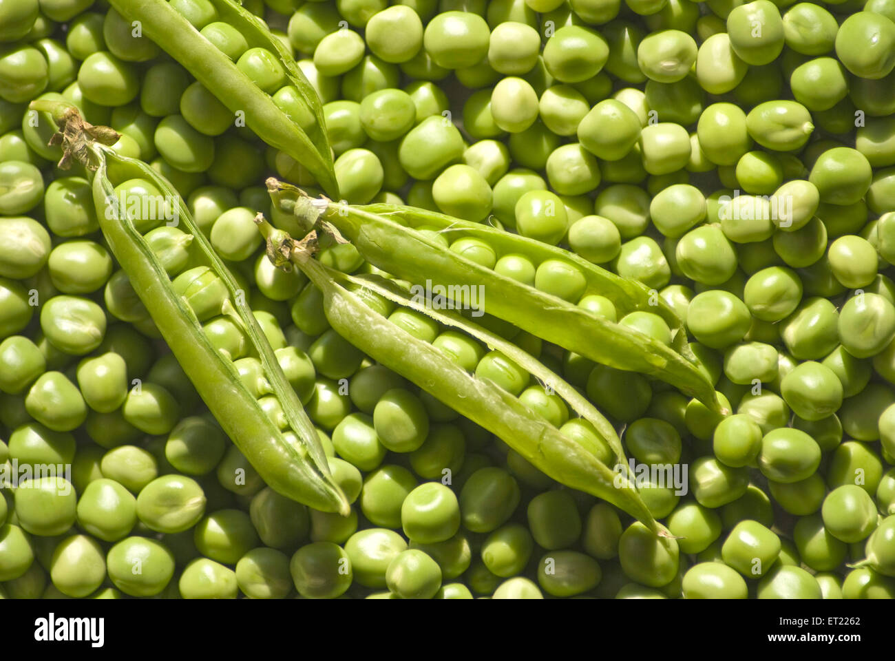 piselli verdi pisum sativum e cialde Foto Stock