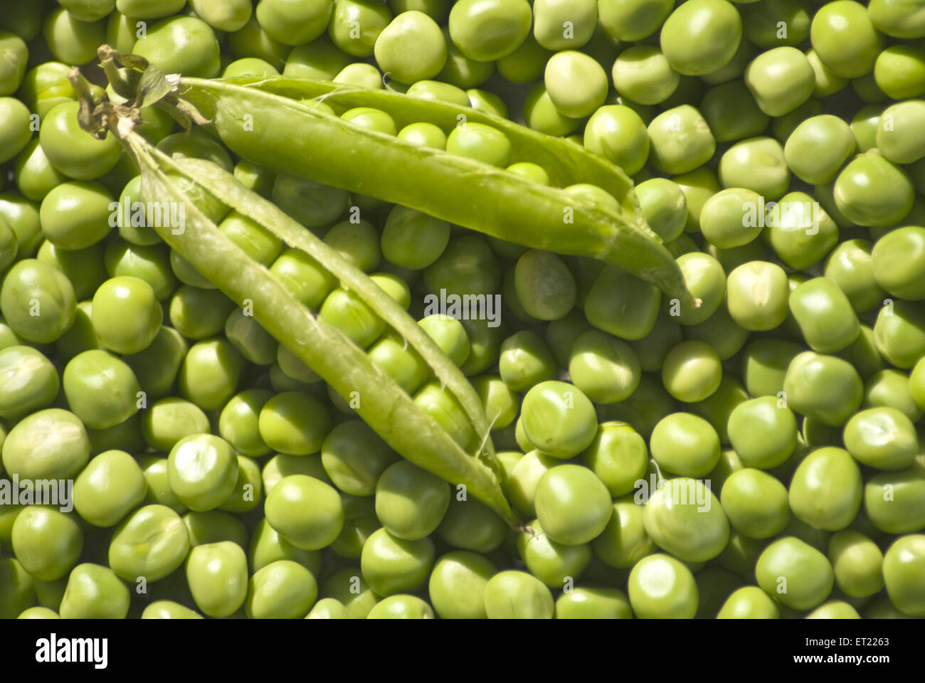 piselli verdi pisum sativum e cialde Foto Stock