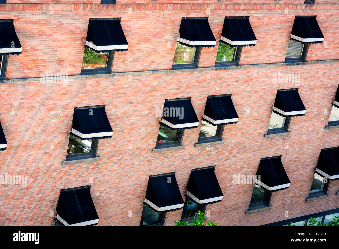 Molte sfumature finestra su un edificio in mattoni Foto Stock