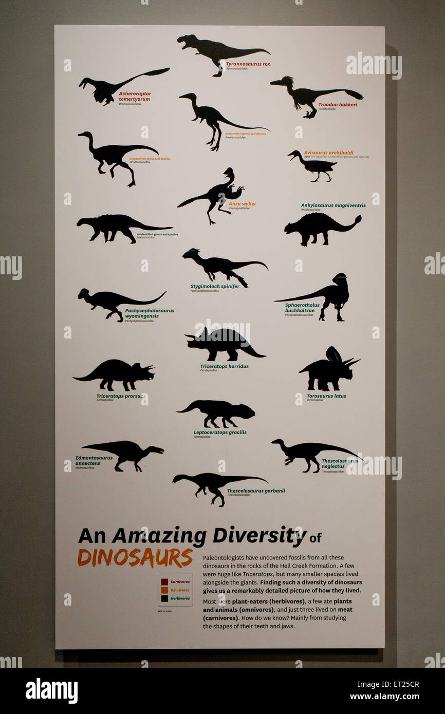 La diversità dei dinosauri poster - USA Foto Stock