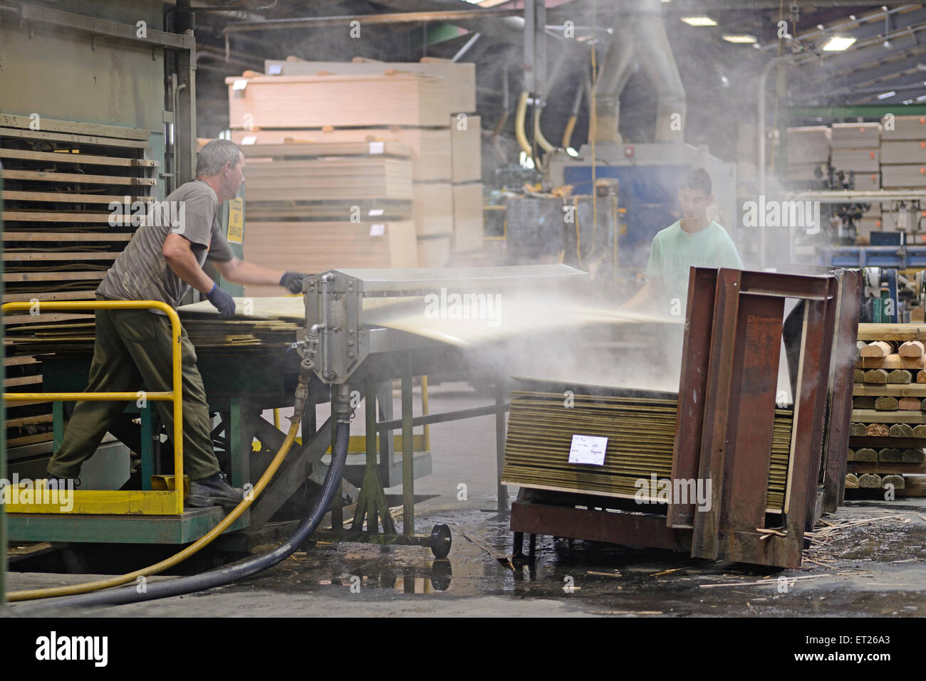 Greymouth, Nuova Zelanda, 22 maggio 2015 : lavoratori pila appena fatti fogli non tagliata di legno compensato Foto Stock