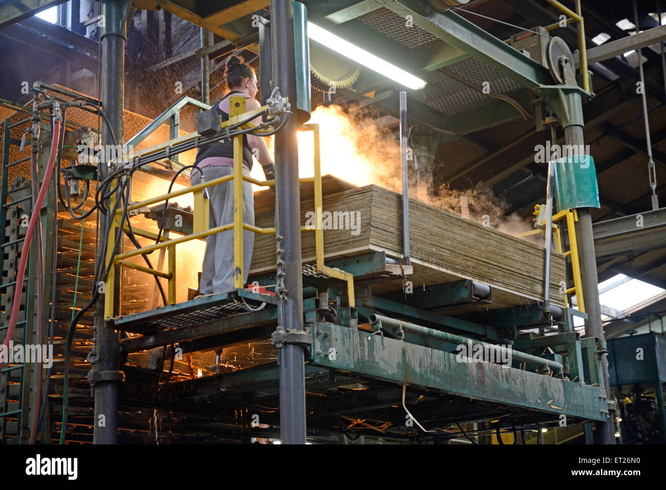 Greymouth, Nuova Zelanda, 22 maggio 2015 : operaio di pile appena fatti fogli non tagliata di legno compensato vicino a Greymouth, NZ Foto Stock