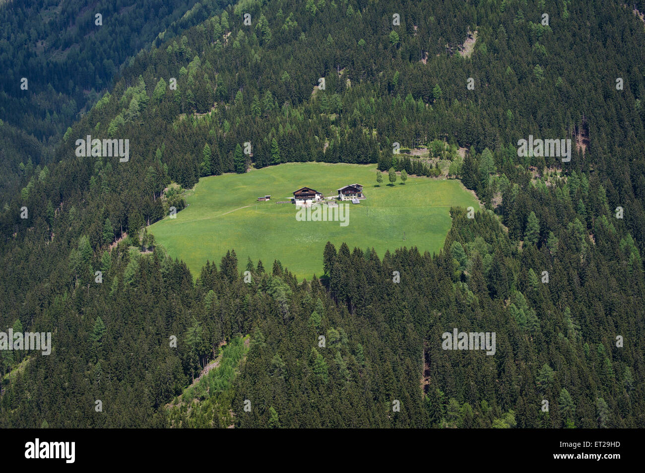 Alp con casali di campagna circondata da una foresta, vicino Assling, Tirolo orientale, Austria Foto Stock