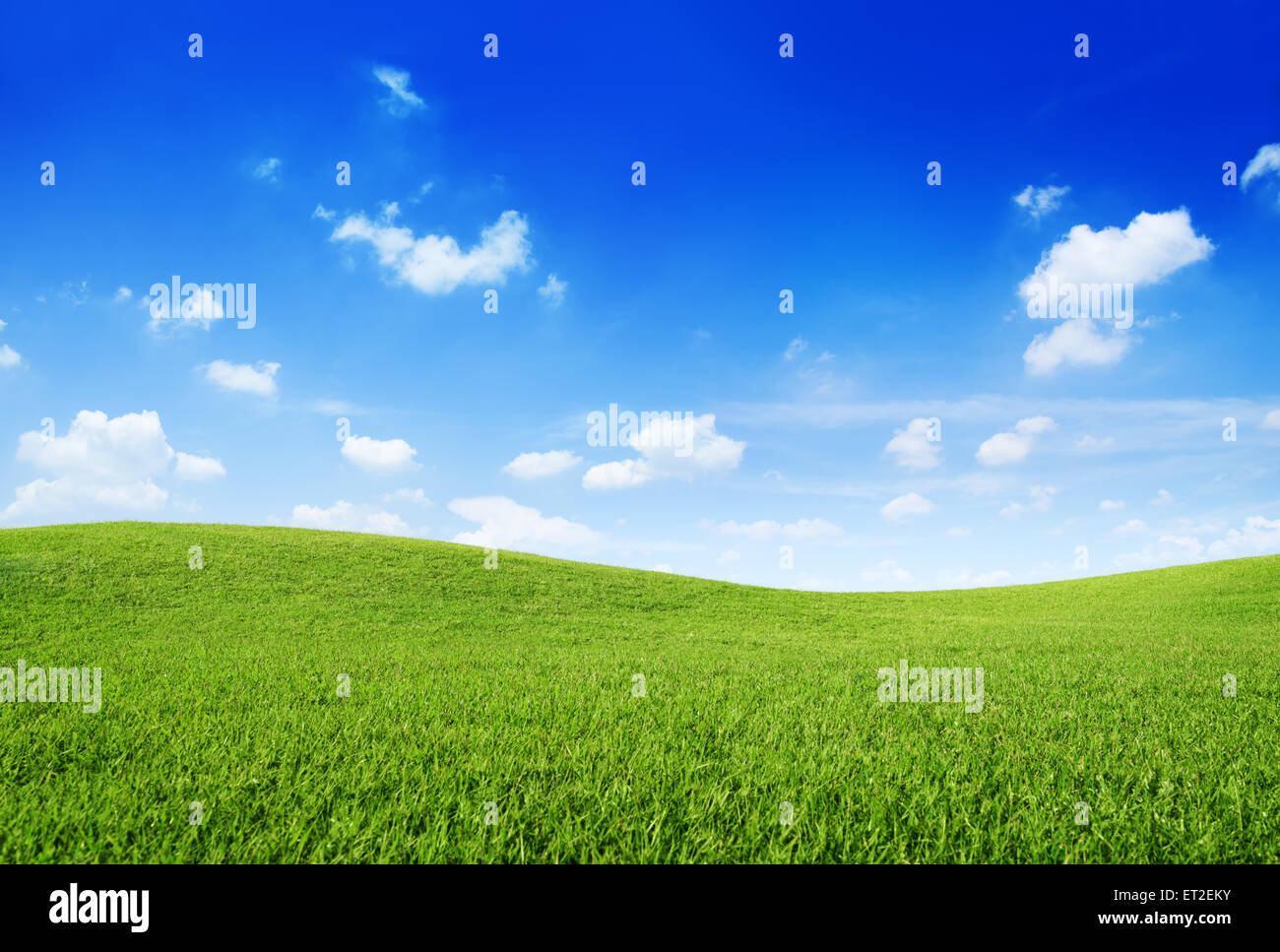 Erba verde collina e cielo blu chiaro Foto Stock