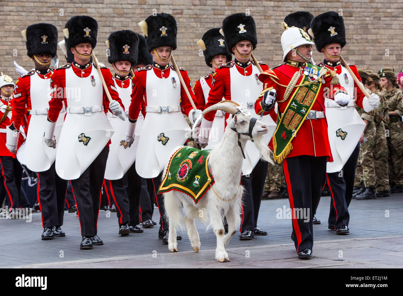 Cardiff, Galles, UK. 11 Giugno, 2015. Le strade sono state chiuse e la folla rivestite le strade nel centro di Cardiff come questa mattina la regina è arrivato per presentare i nuovi colori del reggimento al Royal Welsh reggimento. Il reggimento, guidati dai principali di capra e la mascotte del reggimento, Shenkin, hanno marciato dal Castello di Cardiff al Millennium Stadium dove la cerimonia formale avrà luogo. La regina sarà quindi la valutazione del reggimento per una cena celebrativa. Credito: Chris Stevenson/Alamy Live News Foto Stock