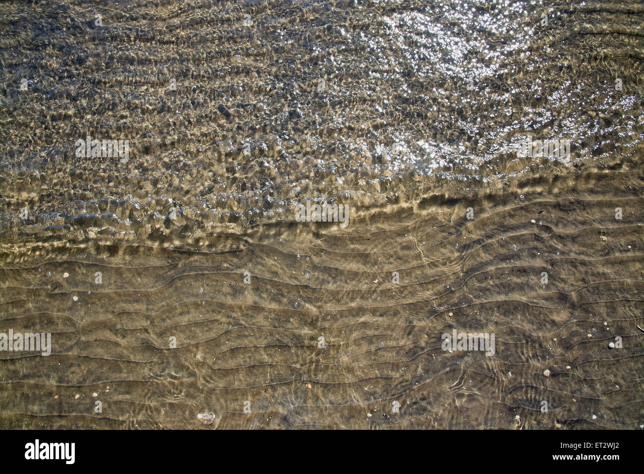 Astratto modello di acqua con piccole onde e glitter, seaside organici naturali dettaglio del paesaggio. Foto Stock