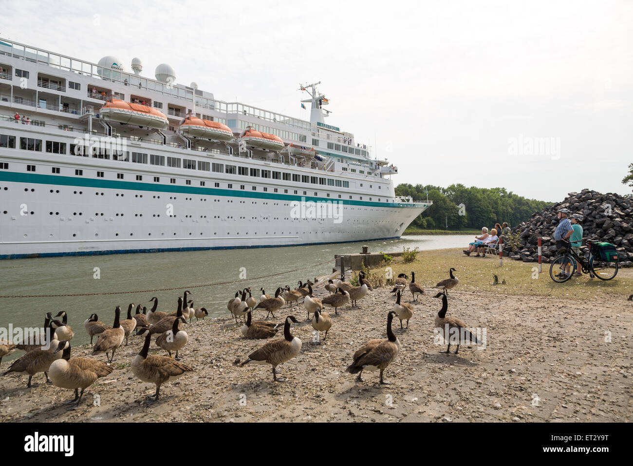 Rendsburg, Germania, Albatros sul canale di Kiel Foto Stock