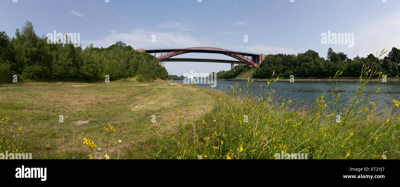 Kiel, Germania, Albatros sul canale di Kiel Foto Stock