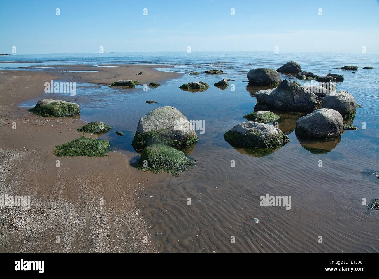 Rocciosa spiaggia sabbiosa del paesaggio e cielo blu a Falkenberg (Svezia). Foto Stock