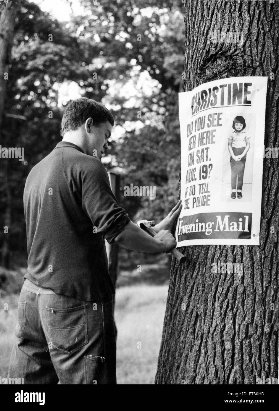 La polizia mettendo a Christine Darby poster su alberi in Cannock Chase. Il Cannock Chase omicidi (noto anche come la A34 omicidi) sono stati gli omicidi di tre giovani ragazze della scuola che si è verificato in Staffordshire, Inghilterra, durante la fine degli anni sessanta. Raymond Leslie Morr Foto Stock