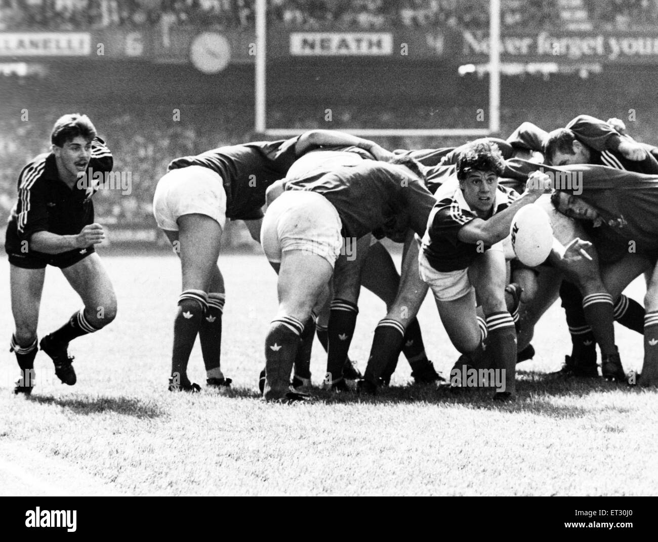 Welsh Rugby Union finale - Neath 14 - 13 Llanelli. Jonathan Griffiths gira la palla per Llanelli. Il 6 maggio 1989. Foto Stock