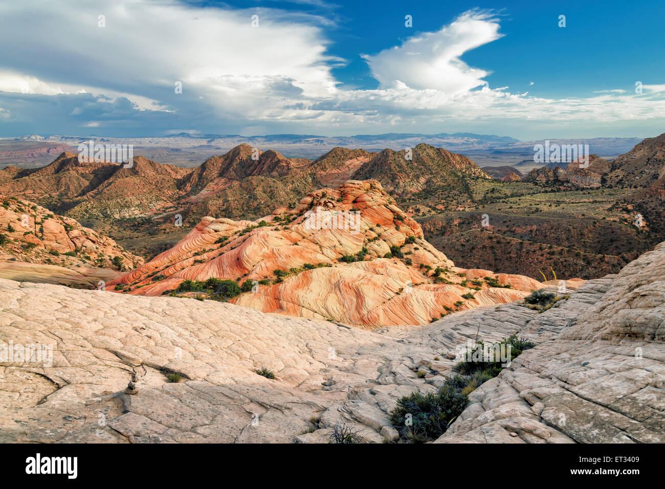 La caramella scogliere in Yant area piatta della foresta di pioppi neri americani deserto Foto Stock