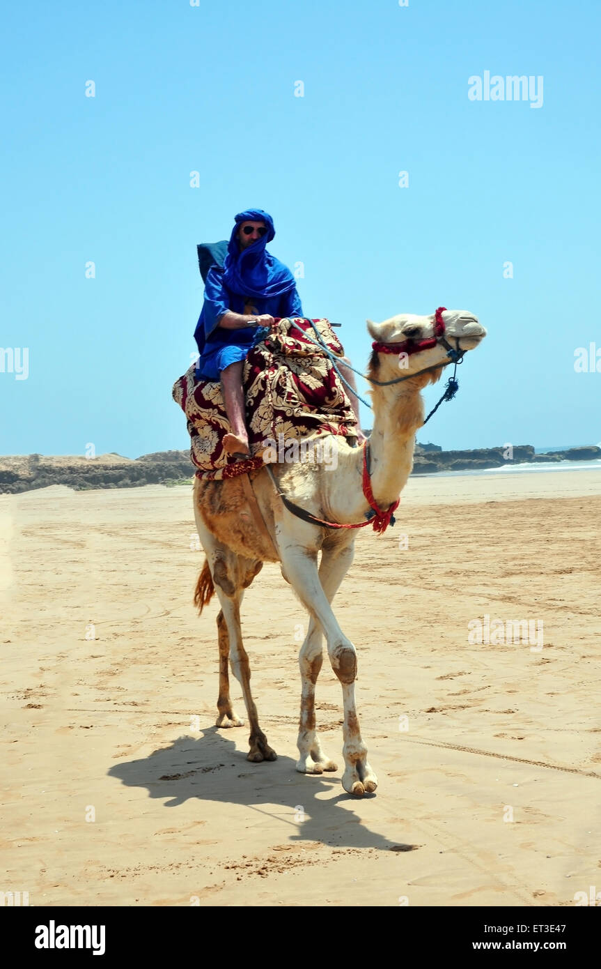Il Marocco berbero cammello equitazione sull'oceano atlantico beach Foto Stock