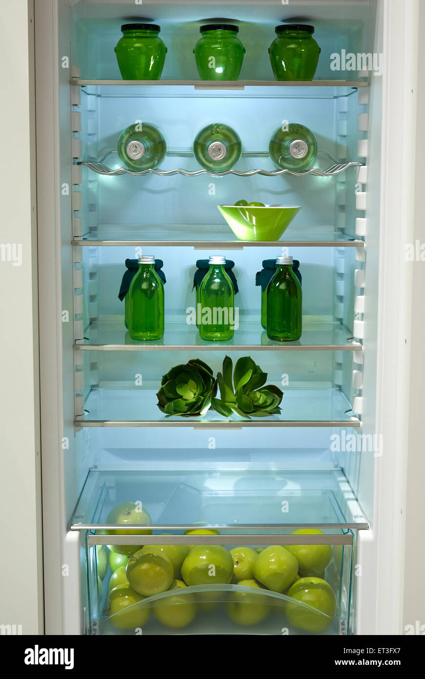 Berlino, Germania, frigorifero e congelatore modello a IFA 2014 Foto Stock