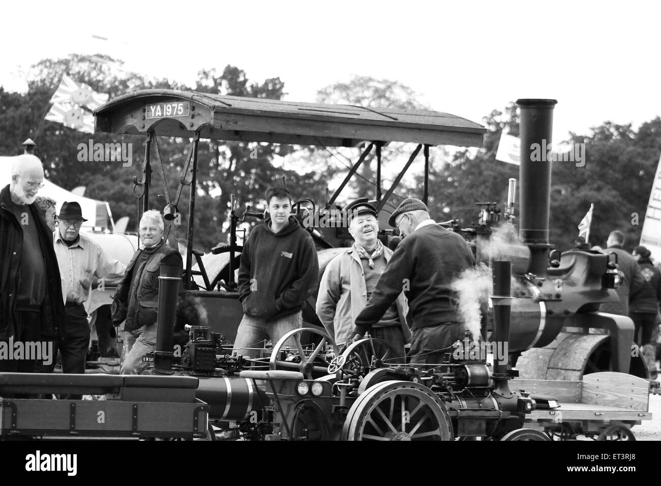 Motore, interesse, la locomozione, motore a vapore, vintage, vecchi tempi, vecchio, spettacolo per la famiglia, il motore mostra, Burleigh mostrano, vintage show, Foto Stock