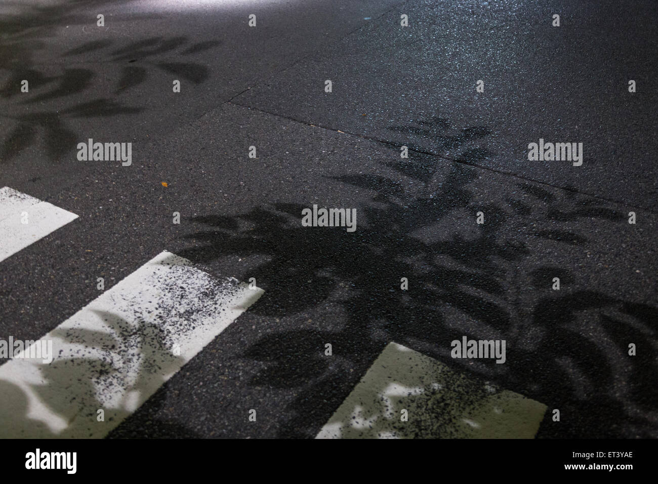 Ombre su un crosswoalk a Tokyo in Giappone Foto Stock