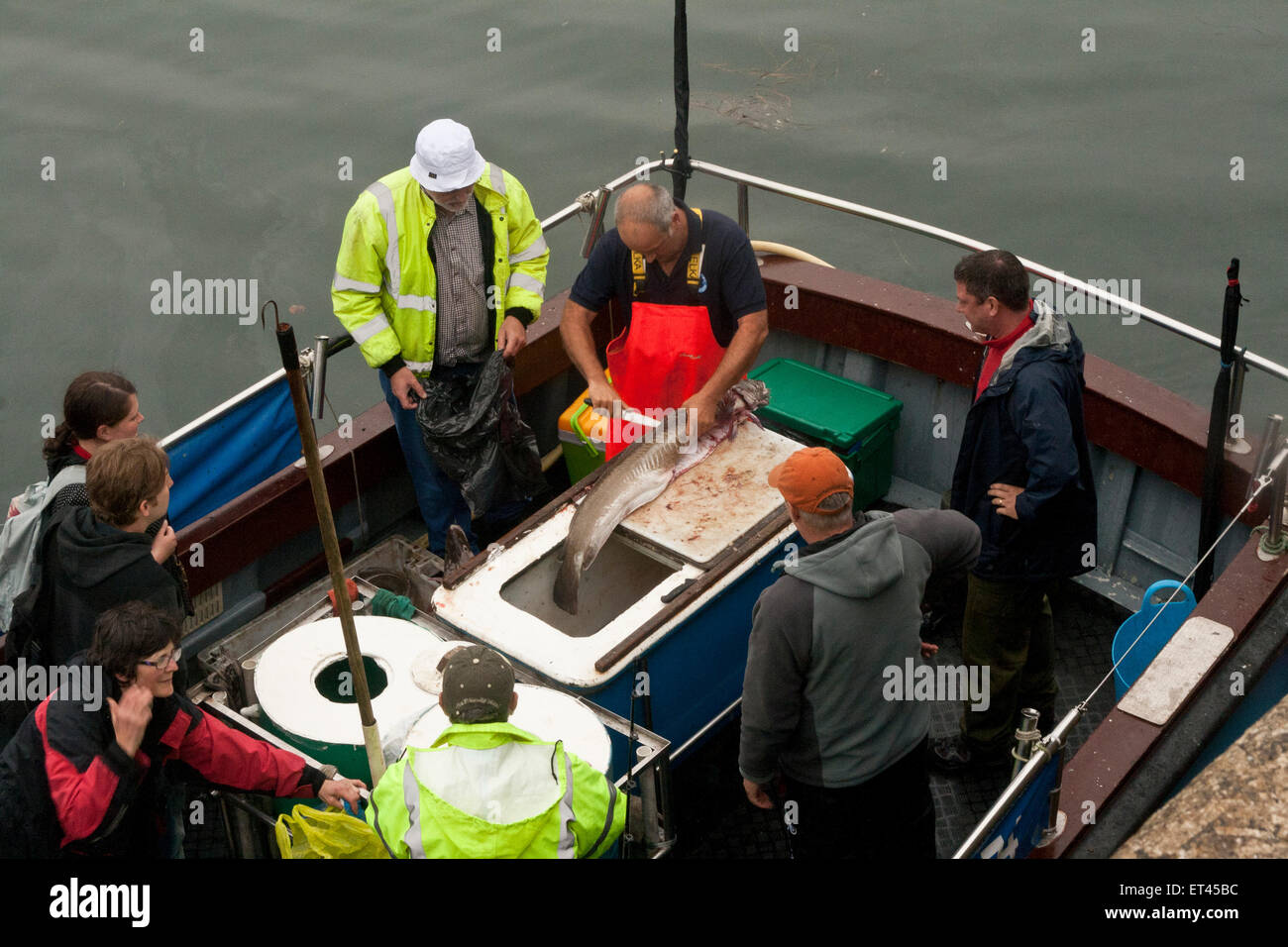 Barca da pesca vengono restituiti a un porto di lavoro dopo un viaggio di pesca a Mevagissey, Cornwall, Inghilterra, Regno Unito. Foto Stock